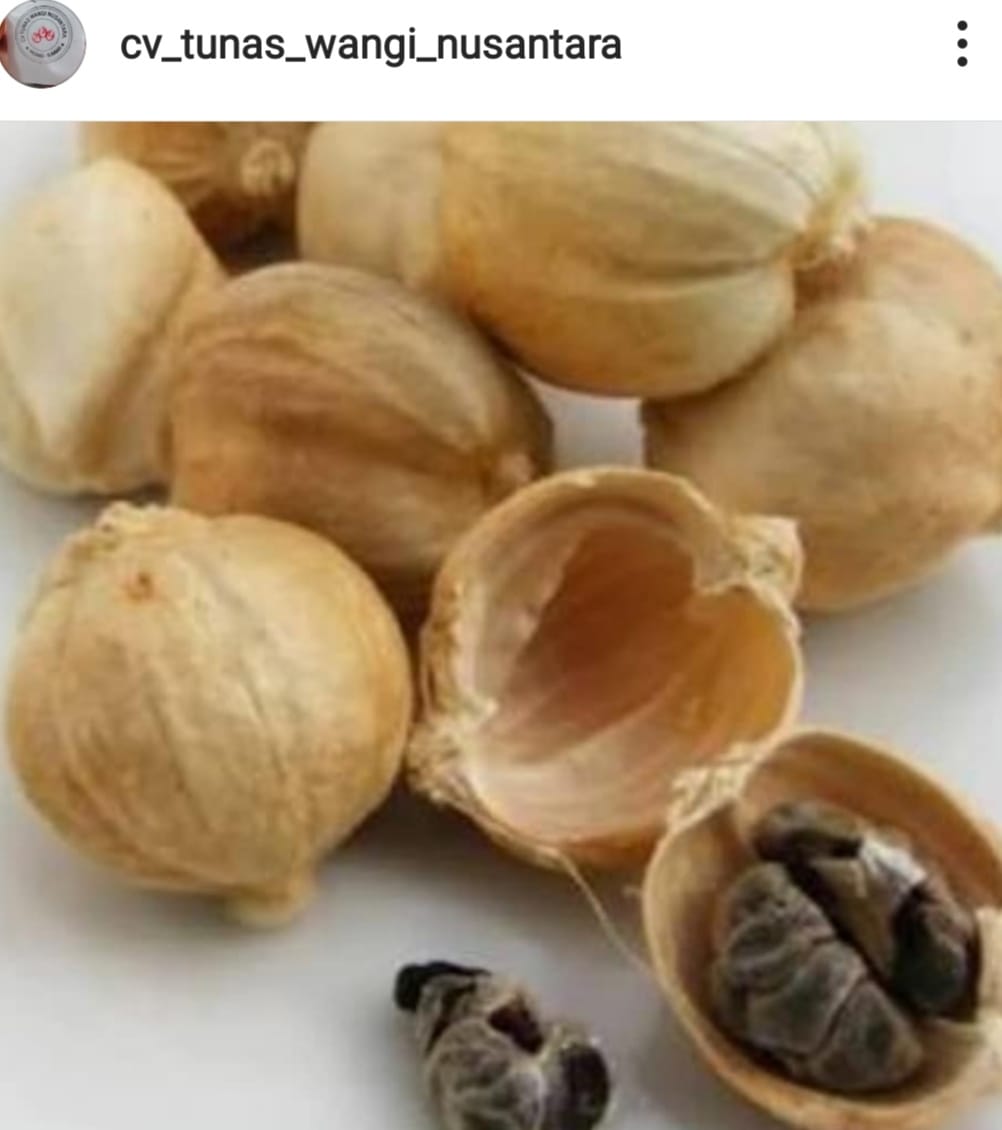 white cardamom